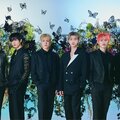 NCT DREAM のJISUNG「僕は日本のコンビニが大好き」 来日のたびに大人買いするお気に入りのお菓子とは
