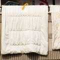布団に大量発生していた「黒くて小さな虫」 調べてみるとダニではなく意外な“害虫”だった!