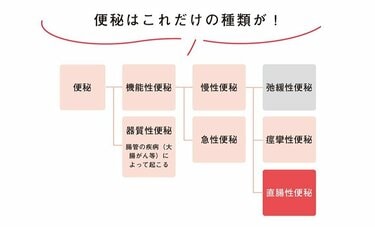 腸は脳よりも先に生まれた　両者は相互にネットワークでつながり、深い関係にある