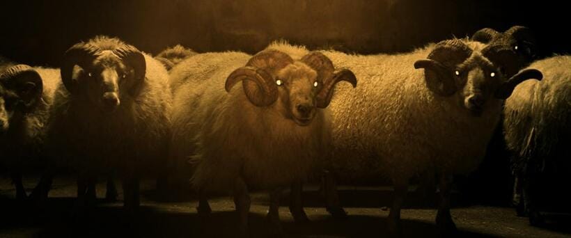 ｐｈｏｔｏ（ｃ）２０２１　ＧＯ　ＴＯ　ＳＨＥＥＰ，　ＢＬＡＣＫ　ＳＰＡＲＫ　ＦＩＬＭ　＆ＴＶ，　ＭＡＤＡＮＴＳ，　ＦＩＬＭ　Ｉ　ＶＡＳＴ，　ＣＨＩＭＮＥＹ，　
ＲＡＢＢＩＴ　ＨＯＬＥ　ＡＬＩＣＪＡ　ＧＲＡＷＯＮ－ＪＡＫＳＩＫ，　ＨＥＬＧＩ　ＪＯＨＡＮＮＳＳＯＮ