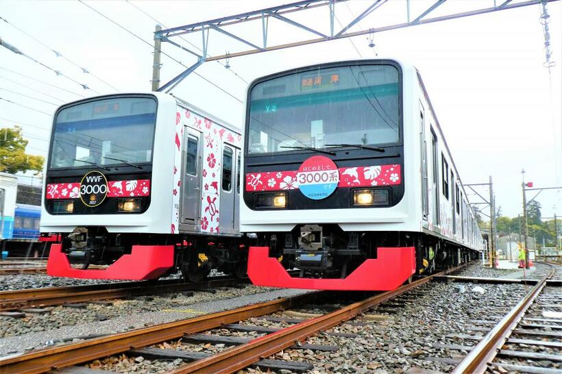 伊豆急行は3000系アロハ電車のデビュー前からイベントを開催して、“売り込み”に精を出していた（著者撮影）