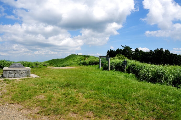 四季折々の草花が出迎えてくれます