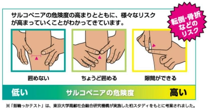 東京大学 高齢社会総合研究機構 飯島勝矢先生　フレイル予防ハンドブックから引用