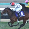 凱旋門賞、今年は3歳馬優勢? 大将格は不出走の可能性も、日本馬の現時点での“立ち位置”は