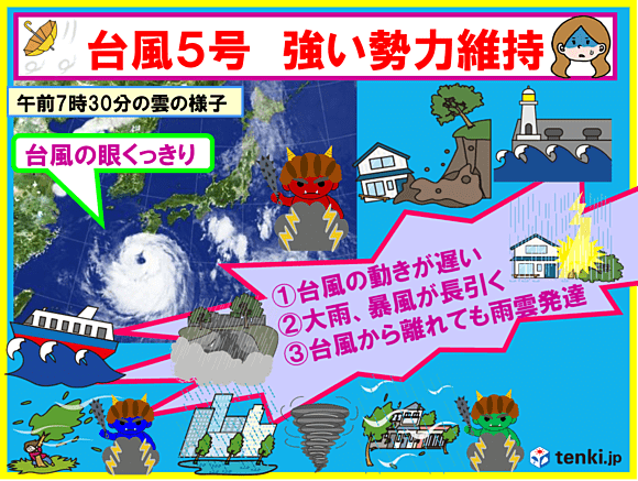 台風５号の特徴