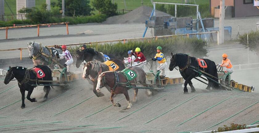 世界には日本のばんえい競馬（写真）以上に過酷なレースも…