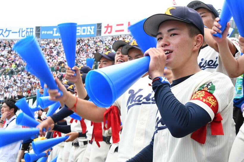 赤いハチマキを腕に巻いて応援する海星の野球部員ら（ｃ）朝日新聞社