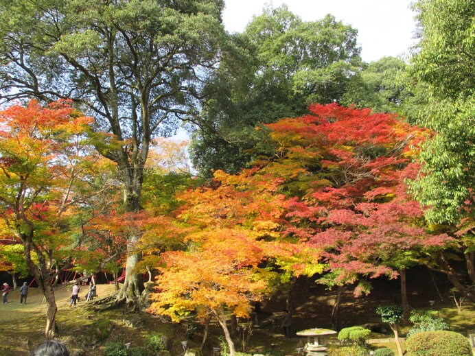 紅葉した木々が映える「尾関山公園」