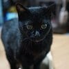水野マルコ