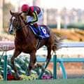 有馬記念の歴史に残る「圧勝劇」 5馬身以上の勝利はわずか5頭だった!
