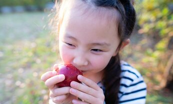 花粉症の人がリンゴや桃で食物アレルギーに なぜ? 花粉とたんぱく質構造が似る意外な組み合わせに注意
