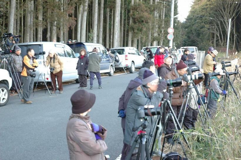 公道にずらっと列をなすカメラマンの車。道に三脚を立てている人もいる（Ｃ）朝日新聞社
