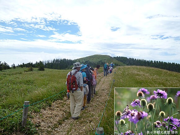 空と風、珍しい高山植物を満喫できるトレッキングコース　(美ヶ原観光連盟提供)