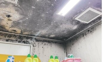 黒カビは壁一面、そして天井にまで広がっていた 病棟の劣悪な生活環境が虐待の温床に