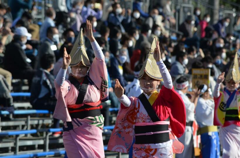 感染症対策の検証を兼ねて昨年１１月に開かれた阿波踊りのイベント（C)朝日新聞社