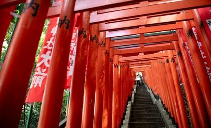 〈見逃し配信〉おみくじ箱を「おもちゃ」に、鳥居でダンス…　インバウンド客の「不敬行為」に悩む神社の本音