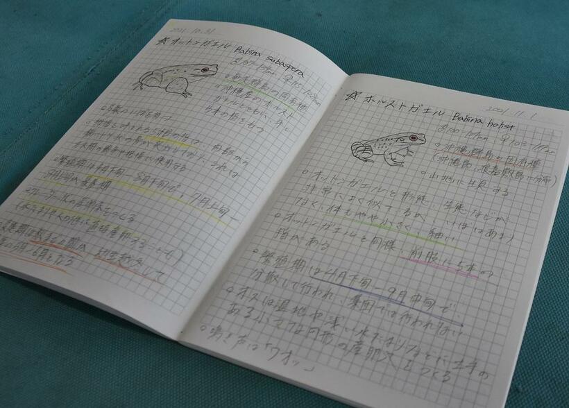 入江さんが東京五輪後から書き始めたカエルの勉強ノート。１日１ページを目標に取り組んだという