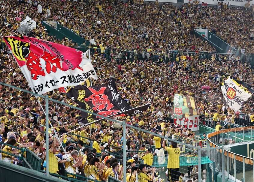 今シーズン首位の阪神(7月24日時点)。ファンの声援にも熱が入る=日刊スポーツ