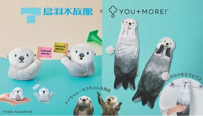 ラッコのメイちゃん＆キラちゃんを再現！鳥羽水族館監修・おなか