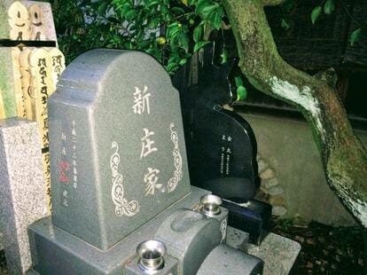 感応寺のプラスペット墓（撮影／鵜飼秀徳）