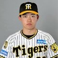 阪神には“大きな伸びしろ”、将来が心配な球団は? “若手充実度”ランキング【セ・リーグ編】