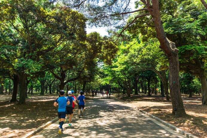 緑のトンネルが続く代々木公園は早朝ランニングにおすすめ