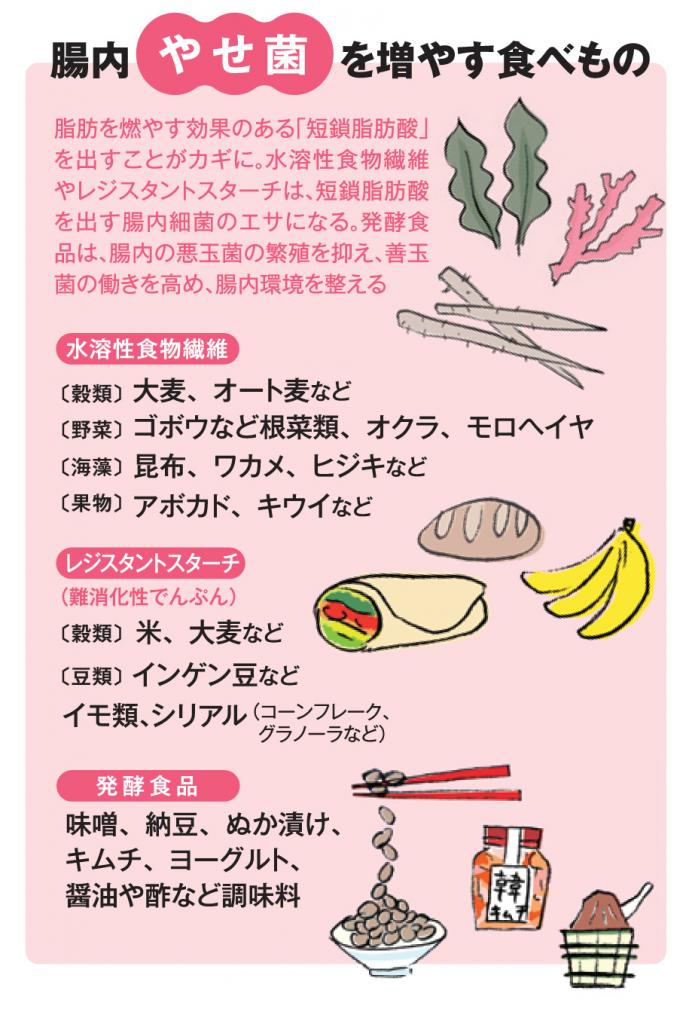 腸内「やせ菌」を増やす食べ物（ＡＥＲＡ　２０１９年１０月２８日号より）