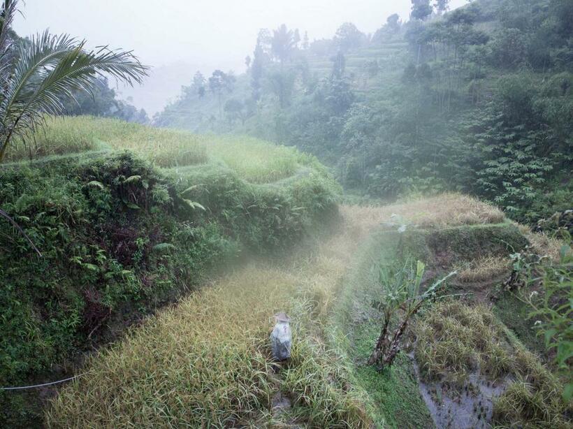 撮影：山下裕