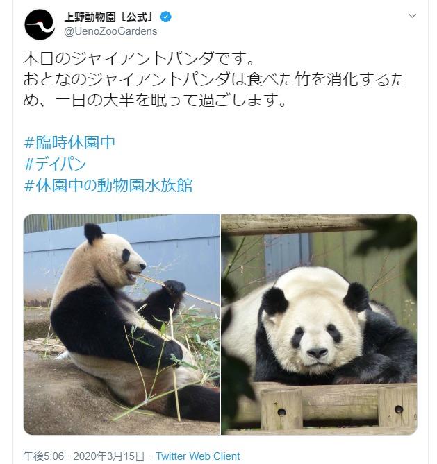 上野動物園の公式ツイッターではパンダの様子などを配信している