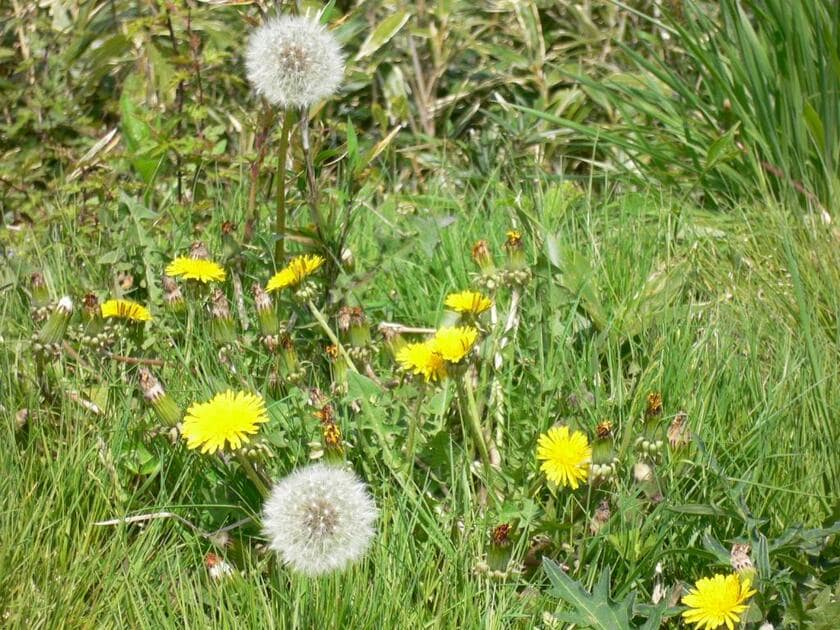 ※写真はイメージです。本文とは関係ありません