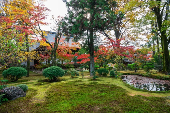 京都・広隆寺の紅葉