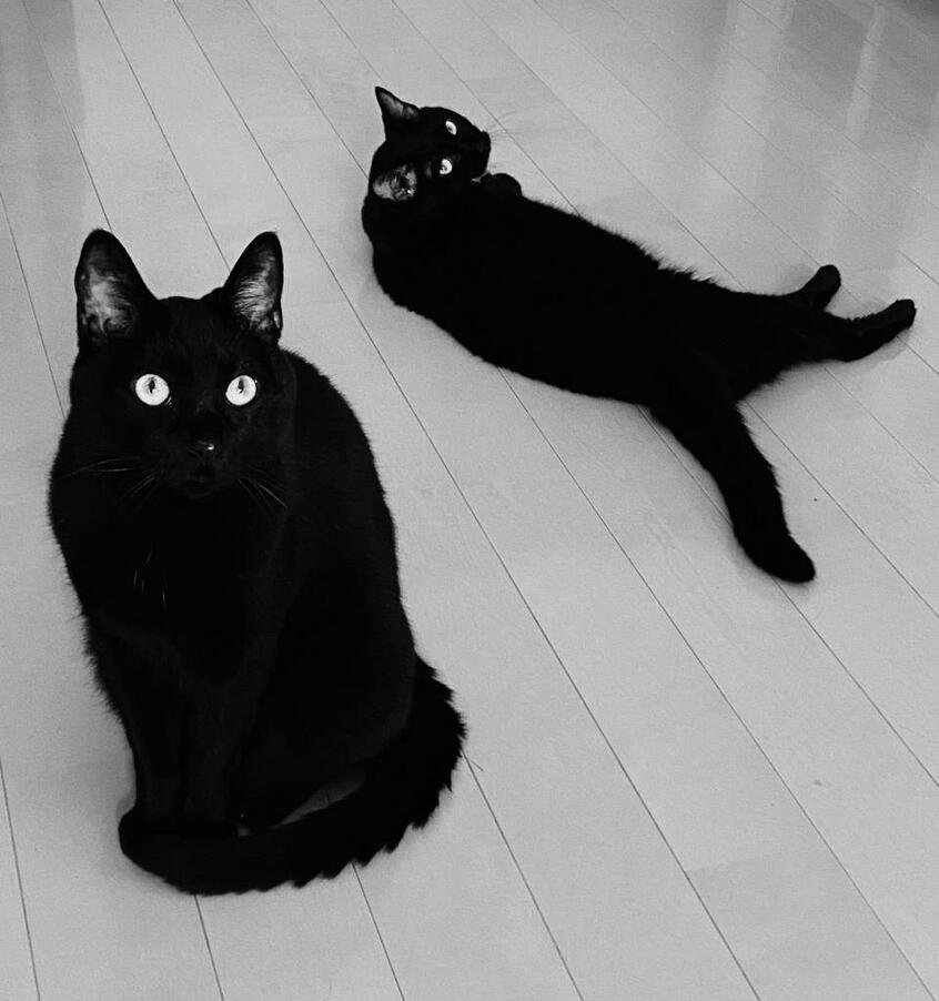 「二世」（写真左）と「アズ」（同右）（櫻田さん提供）