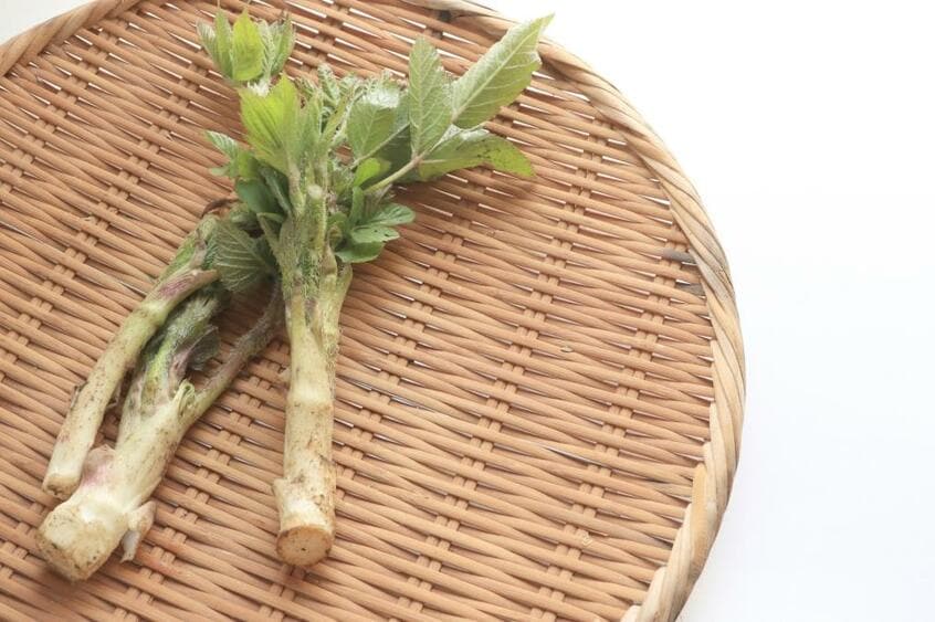 停滞している水分や汚れを取り除き、血流を促す食材「うど」 写真・PhotoAC