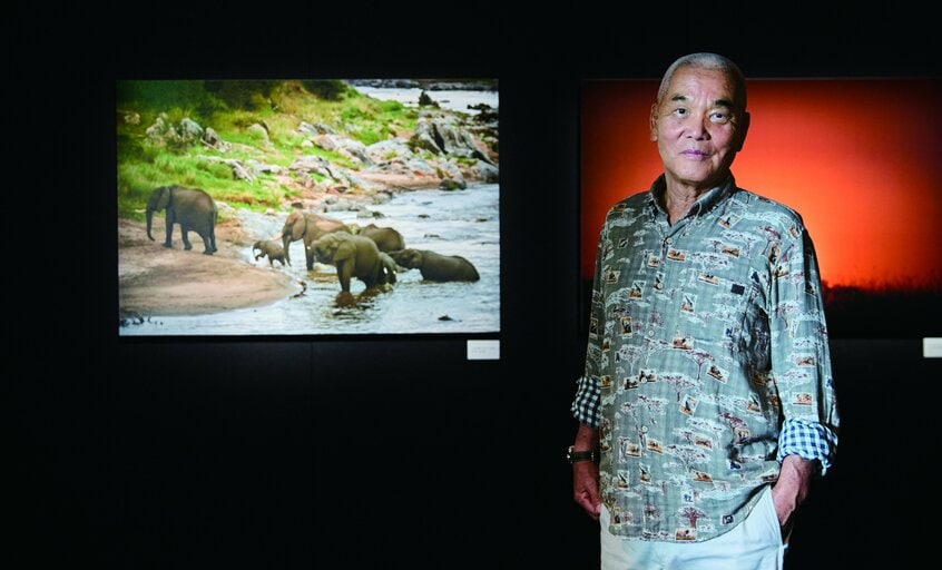 日本を代表する動物写真家の岩合光昭さん。アフリカの野生動物からライフワークといえるネコまで、写真家としての50年以上の歴史と経験とを味わえる、「一生に一度」の展示を含む史上初3写真展が同時開催中