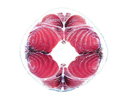 マグロの尾の断面