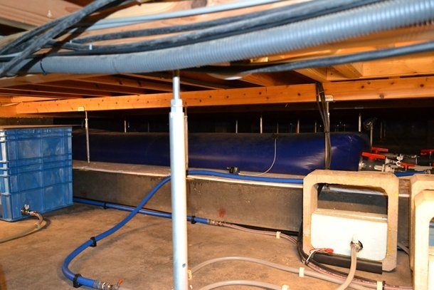 一番奥の青色の容器が床下の「放熱タンク」。約1トンの雨水を貯めており、計3個ある。屋根上の太陽熱温水器や天井面散水管に接続している。