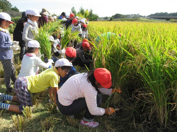 子どもたちに田園風景を残せるのか……　（c）朝日新聞社　＠＠写禁