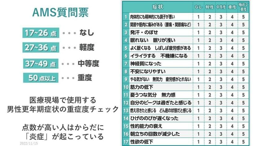 男性更年期症状の重症度チェック表（堀江教授提供）