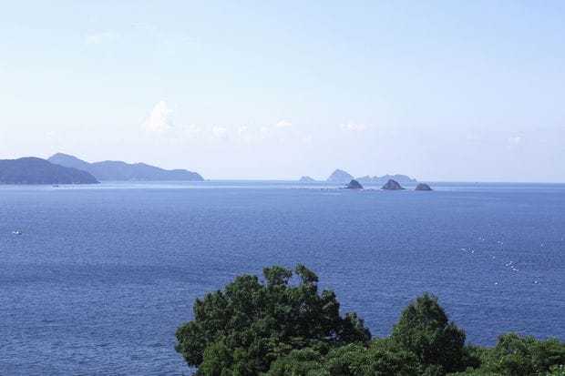 瀬戸内海の海の幸や自然を満喫できる　（写真はイメージ）