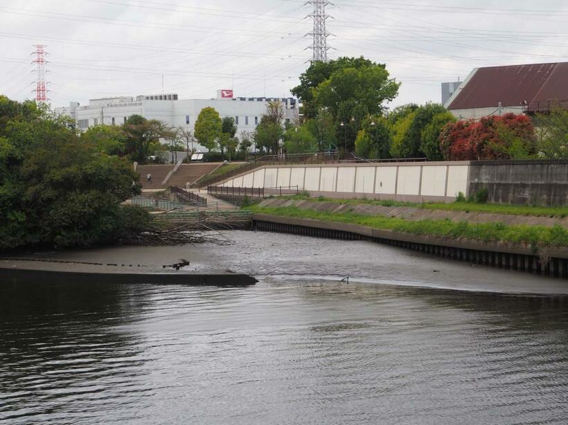 水難現場から100メートルほど上流には這い上がれそうな岸辺があったのだが……