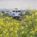 ローカル線を残すには? 「『公』が支えない鉄道は日本だけ」専門家に聞く必要なこと