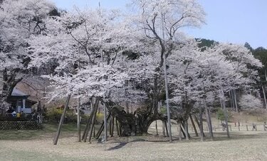 春の鉄道旅お薦めは？　「終点で最大の見せ場“演出”が心憎い」“鉄学者”原武史さんが絶賛の路線