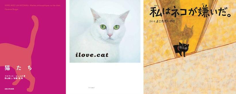 ＜キャッツミャウブックスのおすすめ本＞（左から）【レベル３】『猫たち』フロランス・ビュルガ著、西山雄二・松葉類訳　１８００円　法政大学出版局　猫と暮らすフランスの哲学者が「共同生活」「儀式的なもの」など六つのテーマに分けて猫について考察。【レベル２】『ｉｌｏｖｅ．ｃａｔ』　１５００円　リトルモア　角田光代、坂本美雨らクリエーターに猫との生活についてインタビュー。写真や本人の作品を交えて紹介。【レベル１】『私はネコが嫌いだ。』よこただいすけ　１４００円　つちや書店　娘が拾ってきた黒猫に翻弄されるお父さん。嫌い、嫌いと言い続けるのだが……。犬派も手に取りやすい絵本。※価格はいずれも税別