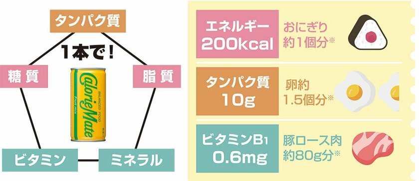 ※「日本食品標準成分表2020年版(八訂)」から