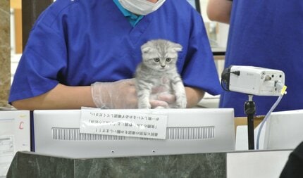 ショップ 奴隷とペットは違う