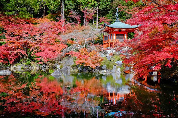 息をのむほどの紅葉美と、静謐な佇まいをみせる「醍醐寺」弁天堂の紅葉