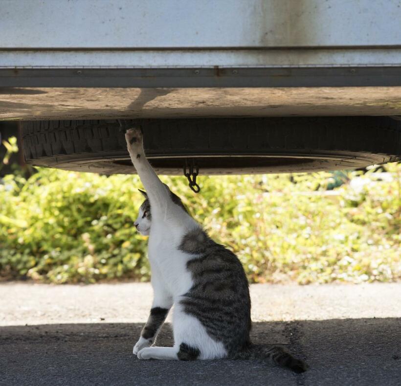 何がどうってわけではないけれども、何だかうまくいかない。