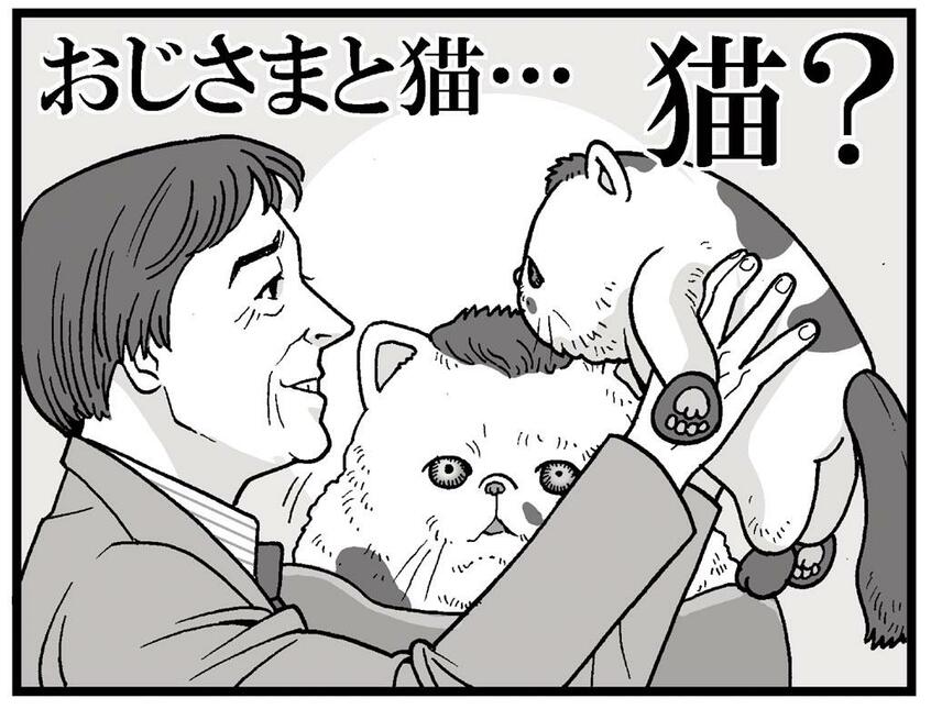 イラスト/カトリーヌあやこ