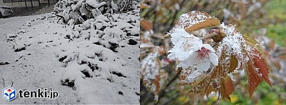 提供：十勝岳温泉凌雲閣（左）　大雪山旭岳ロープウェイ（右）