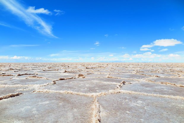 乾期のウユニ塩湖。地表が観光車両の土で変色している（本間さん提供）